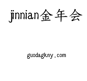 深圳市jinnian金年会网络科技有限公司logo
