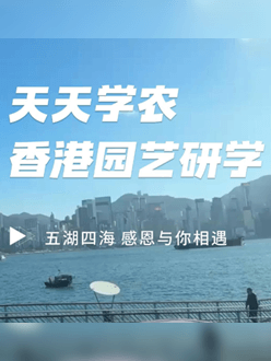 与香港园艺学会联合举办香港园艺研学，专业园境师带队讲解。